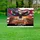 Bald Eagle American Flag Mount Rushmore 1776-2026 - USA 250th Anniversary Patriotic Freedom Yard Sign - 5