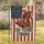Betsy Ross Flag & Chestnut Horse - USA 250th Anniversary 1776-2026 Patriotic Art for Dads Garden Flag - 1