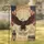 Majestic Bald Eagle American Flag 1776-2026 - USA 250th Anniversary Commemorative Garden Flag - 1