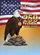 Bald Eagle American Flag 1776-2026 - USA 250th Anniversary Patriotic Commemorative Garden Flag - 6