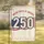 USA 250th Anniversary American Flag Emblem 1776-2026 Celebration United States of America Garden Flag - 1
