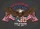 Bald Eagle American Flag 1776-2026 - USA 250th Anniversary God Bless America Freedom Yard Sign - 6