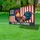 Patriotic Rooster American Flag 1776-2026 - USA 250th Anniversary Gift for Dad Yard Sign - 4