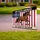 Patriotic Galloping Horse American Flag Christian Cross - USA 250th Anniversary 1776-2026 Yard Sign - 3