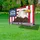 Bald Eagle American Flag 1776-2026 - USA 250th Anniversary We The People Freedom Celebration Yard Sign - 4