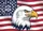 Bald Eagle American Flag 1776-2026 - USA 250th Anniversary Historic Patriotic Design Doormat - 7