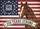 Majestic Horse American Flag 1776-2026 - USA 250 Years Strong Patriotic Yard Art Doormat - 7