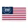 Historic American Flag 250th Anniversary (1776-2026) - USA Independence Day Doormat - 3