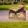 Bald Eagle American Flag 1776-2026 - USA 250th Anniversary Patriotic Gift for Veterans Yard Sign - 3