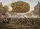 Colonial Battle Scene '250' Emblem 1776-2026 - USA 250th Anniversary Independence Day Yard Sign - 6