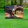 Bald Eagle American Flag 1776-2026 - USA 250th Anniversary Patriotic Gift for Veterans Yard Sign - 5