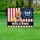 Golden Labrador American Flag 250 Years - USA 1776-2026 Anniversary Welcome Dog Sign Yard Sign - 5