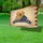 Golden Retriever American Flag 1776-2026 - USA 250th Anniversary We The People Yard Sign - 4