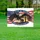 Bald Eagle American Flag Soldier Cross 1776-2026 - USA 250th Anniversary Tribute Yard Sign - 5