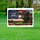 American Angus Bull Betsy Ross Flag 1776-2026 - USA 250th Anniversary Independence Day Yard Sign - 5
