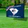 South Carolina Palmetto Flag 1776-2026 - USA 250th Anniversary Patriotic Heritage Yard Sign - 4
