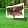 Bald Eagle American Flag We the People Cross 1776 God Bless America - USA 250th Anniversary Yard Sign - 4