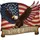 Bald Eagle American Flag 1776-2026 - USA 250 Years of Freedom Independence Day Gift Yard Sign - 6