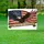 Bald Eagle American Flag 1776-2026 - USA 250 Years of Freedom Independence Day Gift Yard Sign - 5