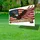 Bald Eagle American Flag 1776-2026 - USA 250 Years of Freedom Independence Day Gift Yard Sign - 4
