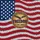 Bald Eagle American Flag 1776-2026 - USA 250th Anniversary Independence Day Gift for Veterans Yard Sign - 6