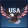 Soaring Bald Eagle American Flag USA 1776-2026 - 250th Anniversary Stars & Stripes Freedom Yard Sign - 6