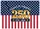 USA 250th Anniversary Flag Design 1776-2026 - Patriotic 250 Years of America Doormat - 7