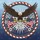 Bald Eagle American Flag 1776-2026 - USA 250th Anniversary Liberty Star Patriotic Spare Tire Cover - 6