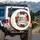USA 250 Years Freedom Poppies Floral Art - America's 1776-2026 Anniversary Tribute Spare Tire Cover - 5
