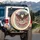 Bald Eagle American Flag 1776-2026 - USA 250 Years of Freedom Independence Day Spare Tire Cover - 3