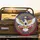 Bald Eagle American Flag 1776-2026 - USA 250th Anniversary Independence Day Heritage Spare Tire Cover - 4