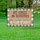 No Kings No Dictators 1776-2026 - USA 250th Anniversary Patriotic American Rights Yard Sign - 5