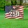 Bald Eagle American Flag 250 Years of Liberty 1776-2026 USA 4th of July Celebration Yard Sign - 5