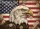 Distressed Bald Eagle American Flag 1776-2026 - USA 250th Anniversary Patriotic Daisy Flowers Yard Sign - 6
