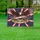 Bald Eagle American Flag 1776-2026 - USA 250 Years of Freedom Anniversary Gift Yard Sign - 5
