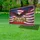 Bald Eagle American Flag 1776-2026 - USA 250th Anniversary Independence Day Gift Yard Sign - 4