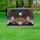 Bald Eagle American Flag 1776-2026 Shield 250 - USA 250th Anniversary Patriotic Yard Sign - 5
