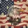 Distressed Bald Eagle American Flag 1776-2026 - USA 250th Anniversary Patriotic Daisy Flowers Doormat - 7
