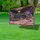 Bald Eagle American Flag 1776-2026 - USA 250th Anniversary Independence Day Outdoor Yard Sign - 4