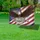 Bald Eagle American Flag 1776-2026 - USA 250 Years of Freedom Anniversary Gift Yard Sign - 4