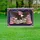 Bald Eagle American Flag 1776-2026 - USA 250th Anniversary Freedom Celebration Yard Sign - 5