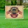 250th Anniversary American Flags 1776-2026 - USA Independence Day Patriotic Celebration Yard Sign - 5