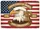 Bald Eagle American Flag 1776-2026 USA 250th Anniversary Liberty Bell Gift for Veterans Yard Sign - 6