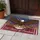 Bald Eagle American Flag 1776-2026 USA 250th Anniversary - Patriot Gift for Veterans Doormat - 5