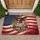 Bald Eagle American Flag 1776-2026 - USA 250th Anniversary Patriotic Shield for Veterans Doormat - 1