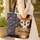 Deer Barn Stars Personalized Name - Rustic Home Decor Gift for Wildlife Lover Quilted Tote Bag - 4