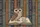 Wise Owl Open Book Gold Spines - Book Lover Everyday Carry Gift Quilted Tote Bag - 7