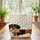 Patchwork Dachshund Botanical Birds - Dog Lover Everyday Carry Quilted Tote Bag - 3