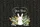 Bunny Lily of the Valley Floral Wreath Your Name - Wildlife Lover Gift for Bunny Lover Quilted Tote Bag - 7