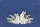 Bunnies Lily Valley Personalized Name Ribbon - Everyday Tote Gift for Bunny Lovers Quilted Tote Bag - 7